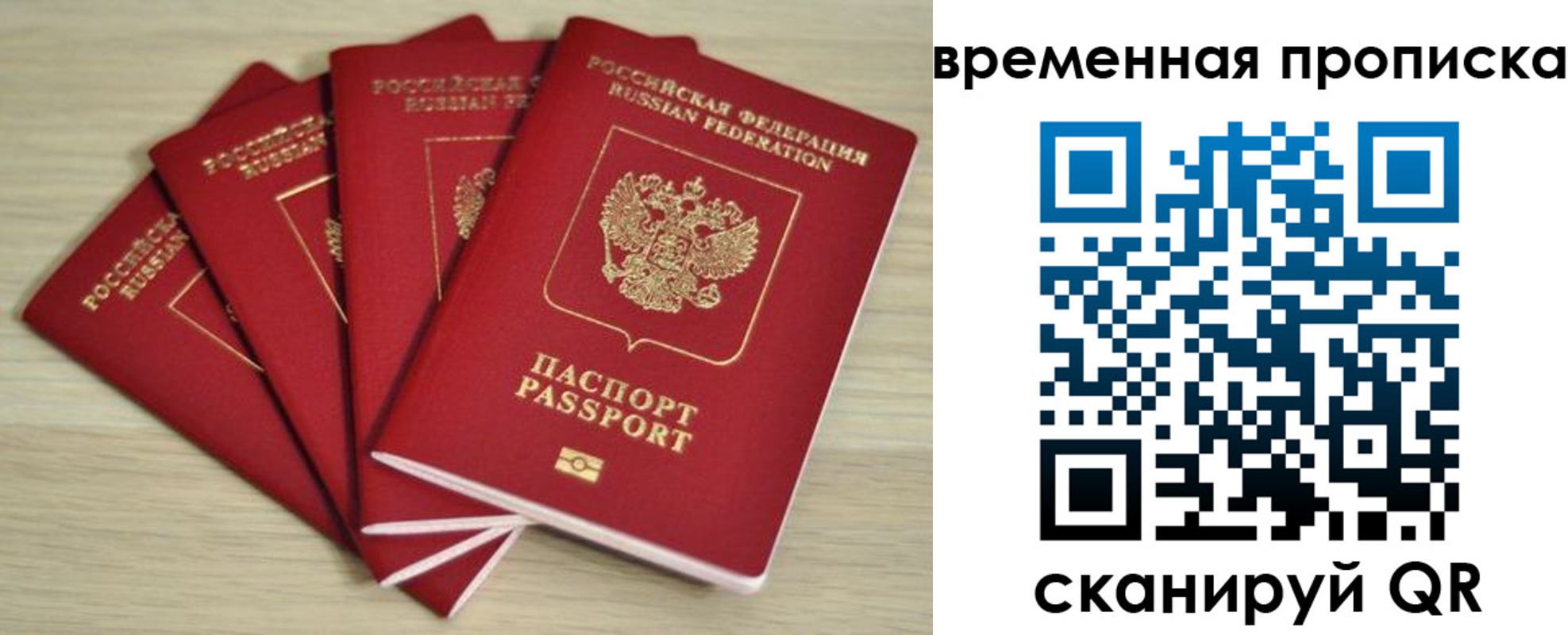 прописка для школы в Камышлове
